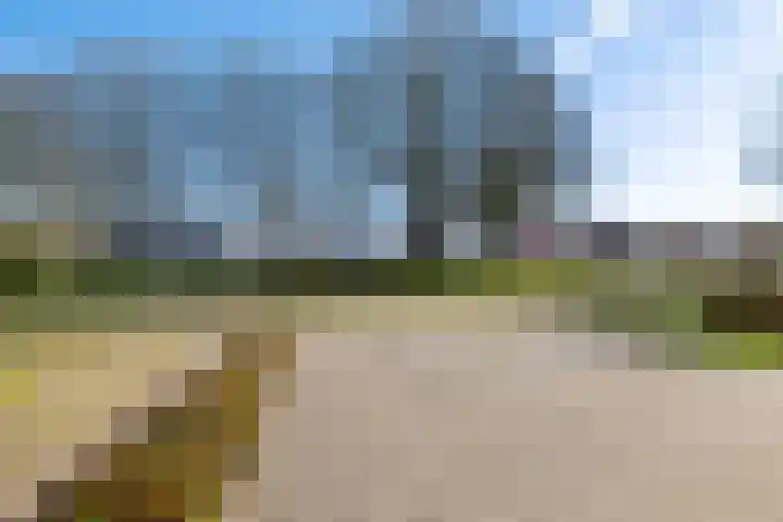 Julianalaan 82 Zuidlaren thumbnail 9