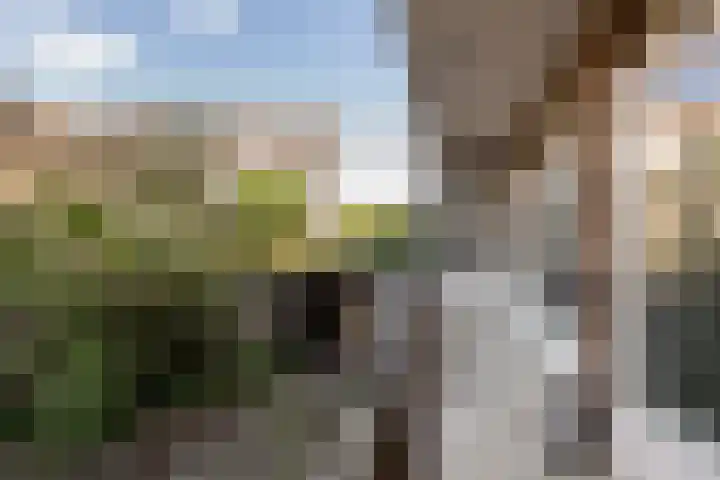 Julianalaan 88 B Schiedam thumbnail 10