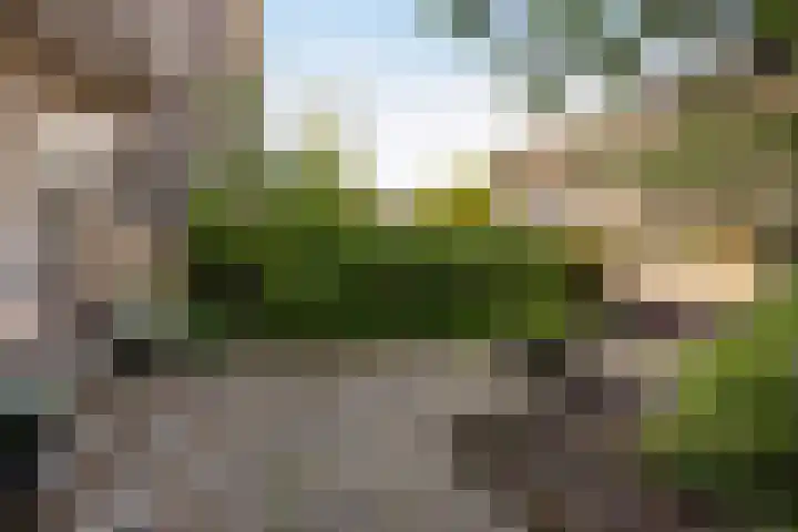Julianalaan 88 B Schiedam thumbnail 13