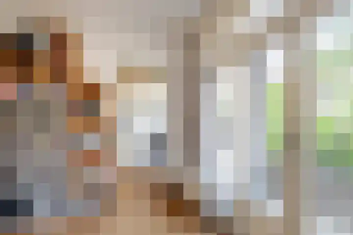 Julianalaan 88 B Schiedam thumbnail 14