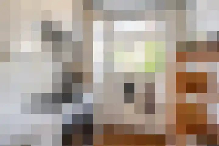 Julianalaan 88 B Schiedam thumbnail 16