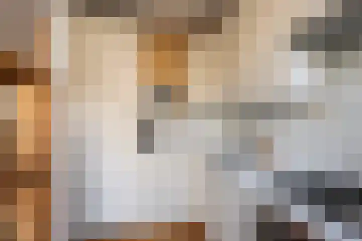 Julianalaan 88 B Schiedam thumbnail 17