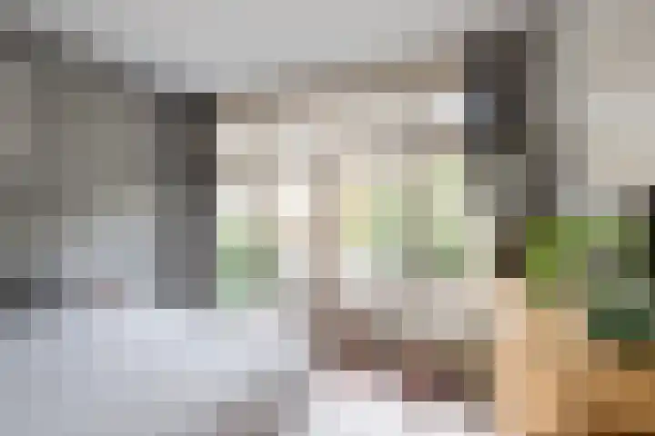 Julianalaan 88 B Schiedam thumbnail 19
