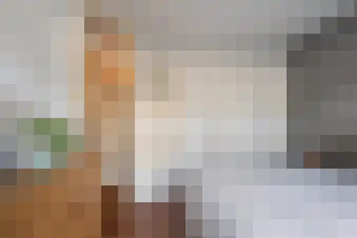 Julianalaan 88 B Schiedam thumbnail 20