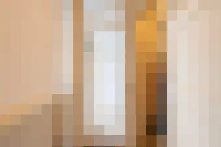 Julianalaan 88 B Schiedam thumbnail 23