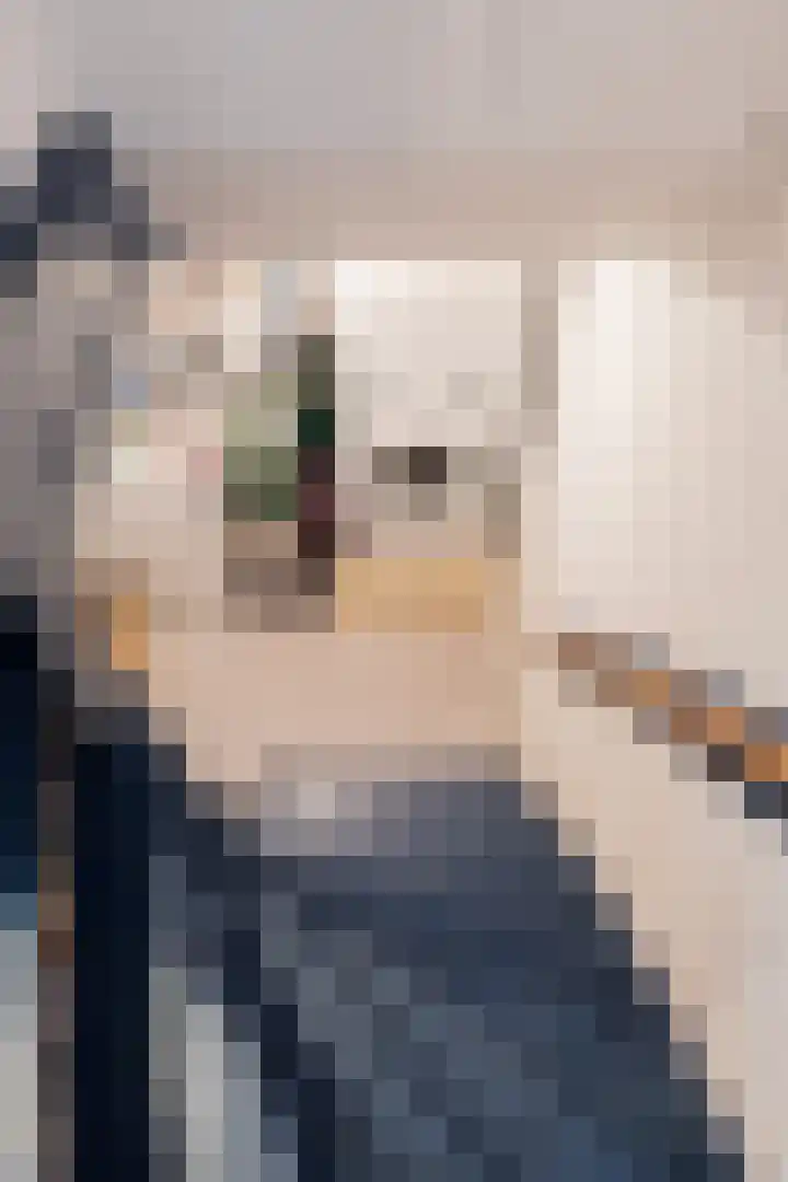Julianalaan 88 B Schiedam thumbnail 28