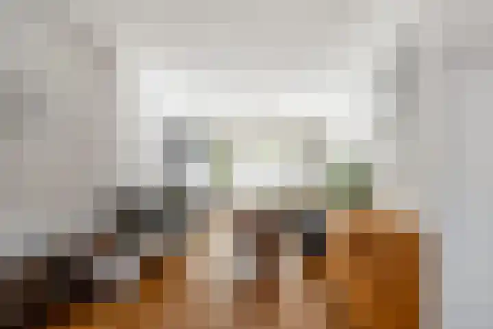 Julianalaan 88 B Schiedam thumbnail 5