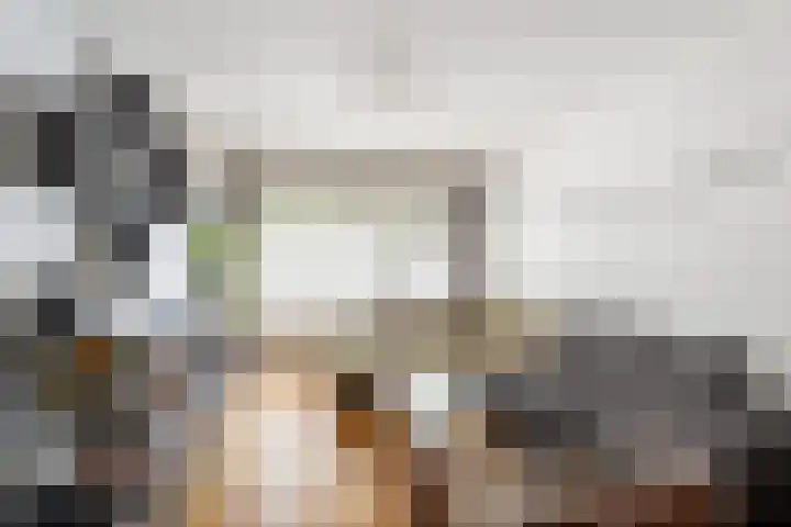 Julianalaan 88 B Schiedam thumbnail 6