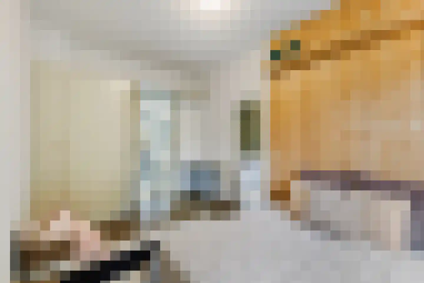 Julianalaan 89 b Leeuwarden thumbnail 35