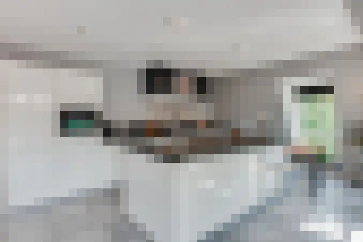 Julianalaan 9 0007 Baarn thumbnail 18