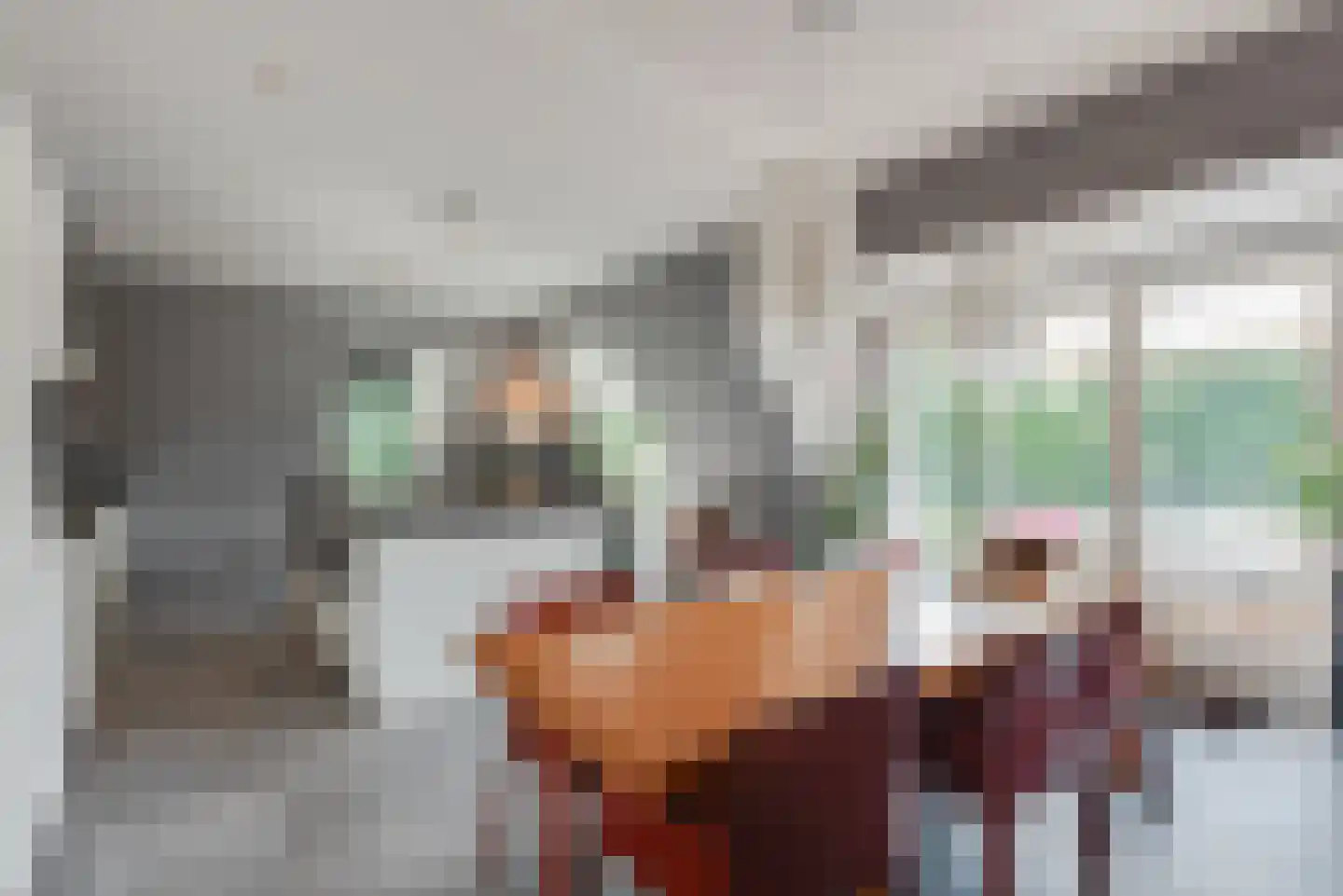 Julianalaan 9 0007 Baarn thumbnail 19