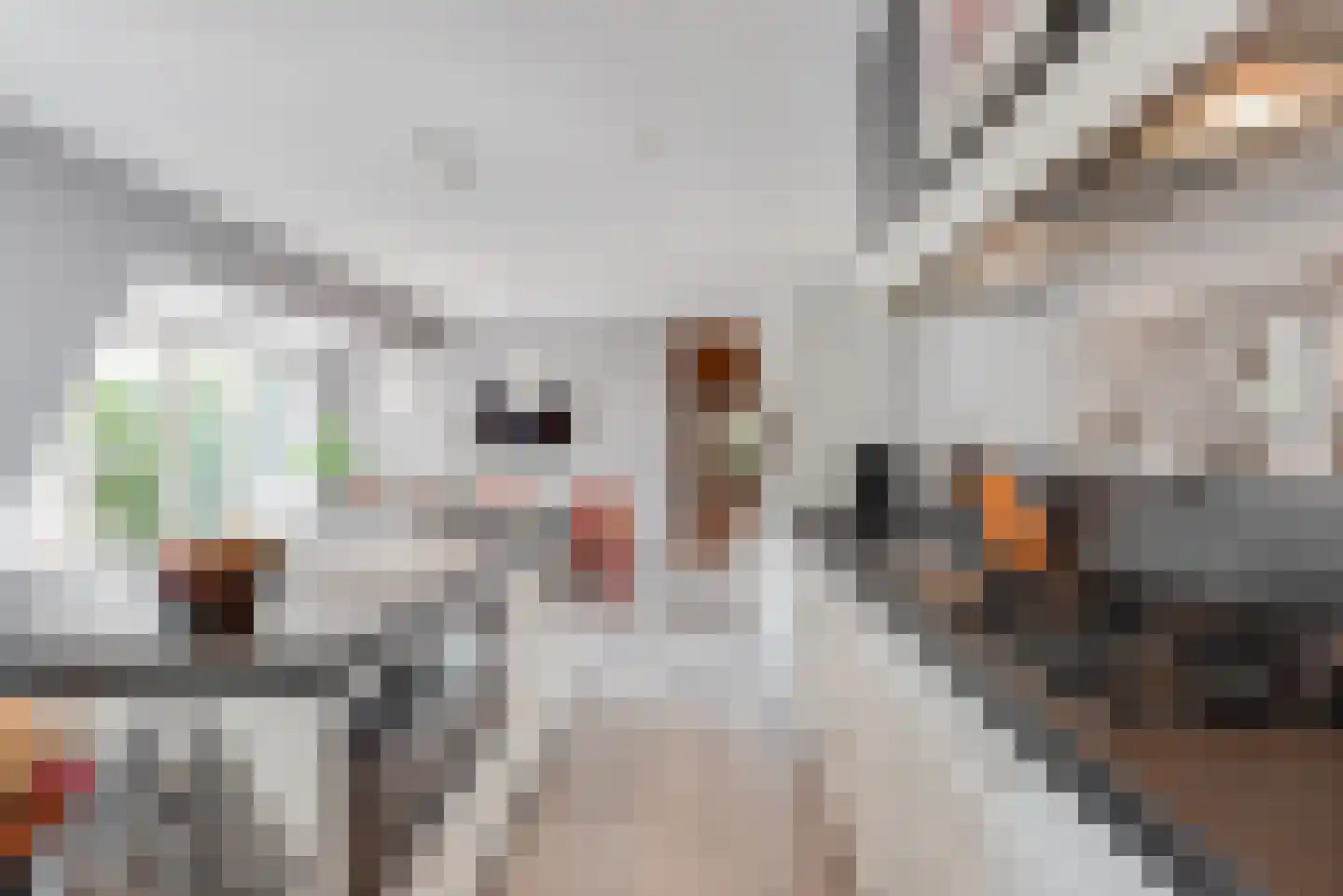 Julianalaan 9 0007 Baarn thumbnail 20