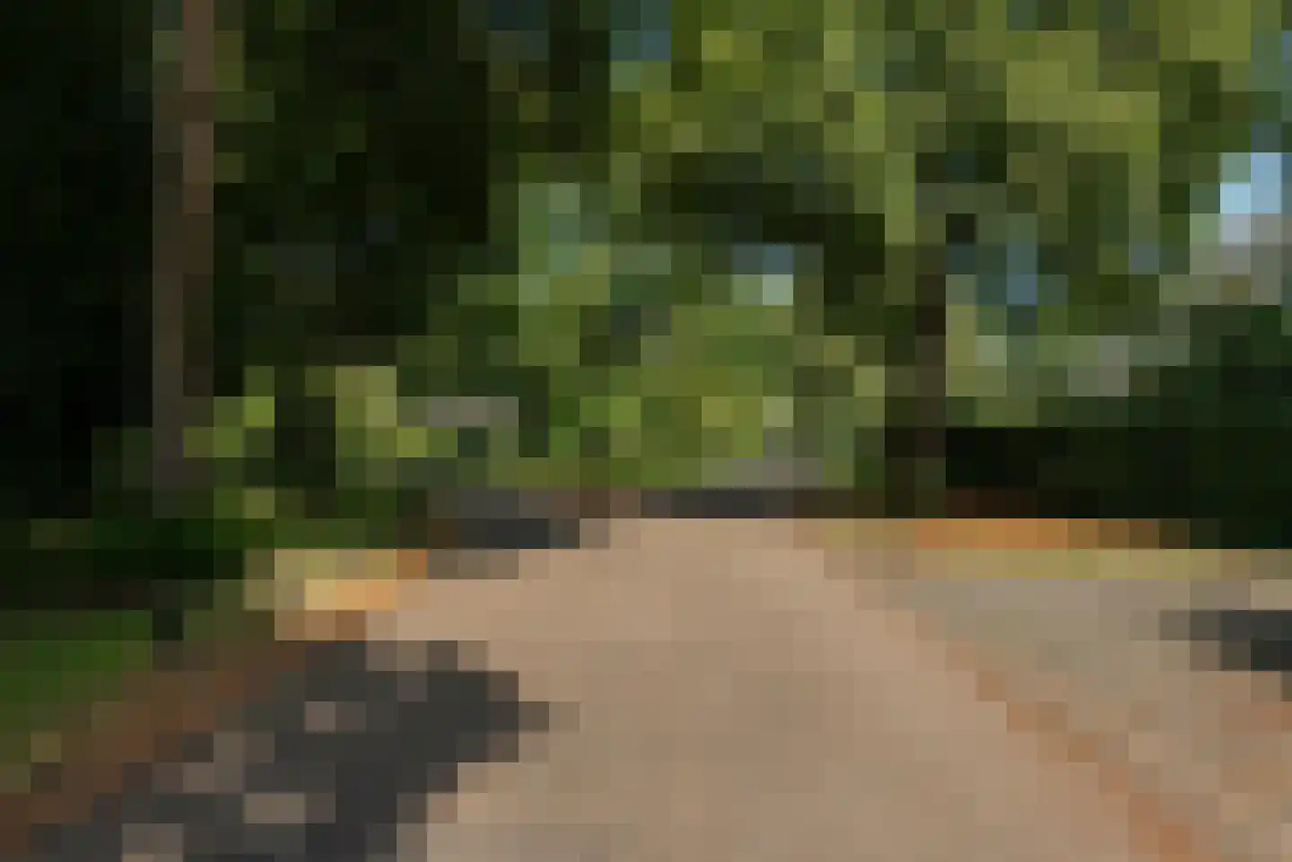 Julianalaan 9 0007 Baarn thumbnail 43