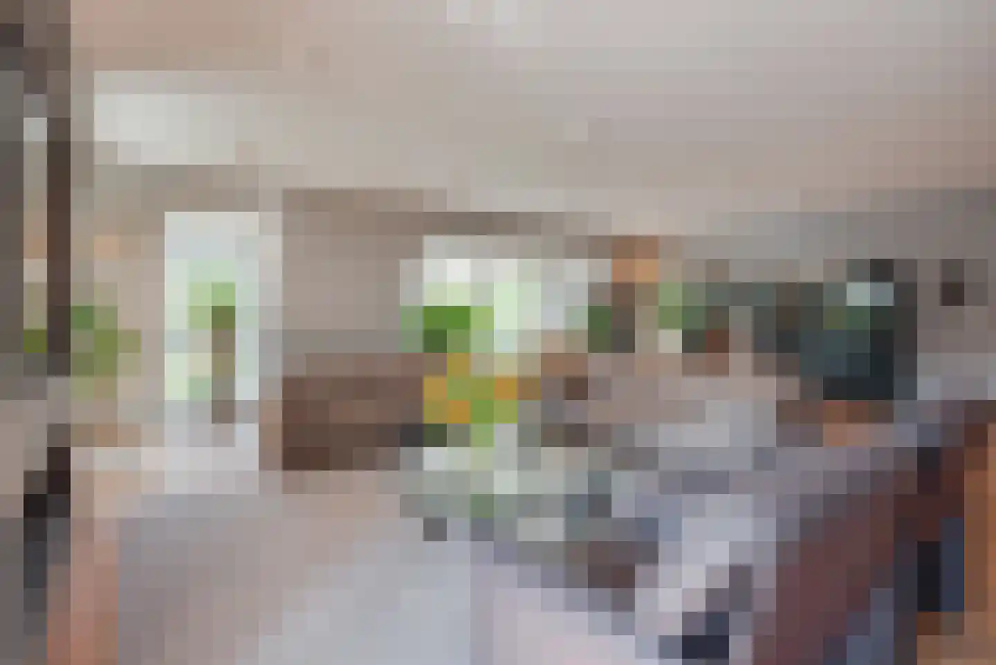 Julianalaan 9 0007 Baarn thumbnail 7