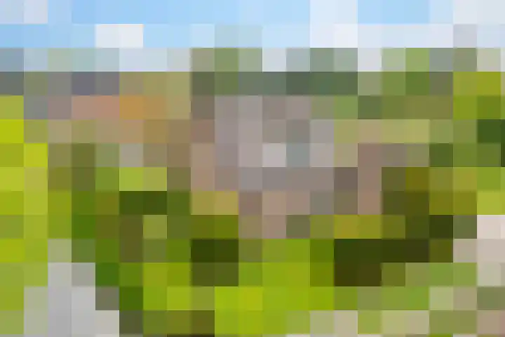 Julianalaan 9 in Eefde