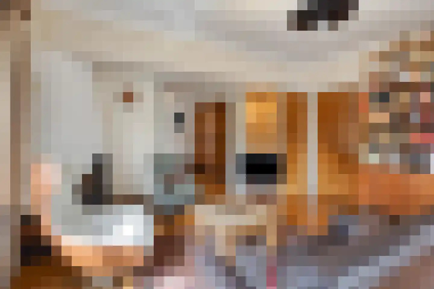 Julianalaan 9 Beek thumbnail 10