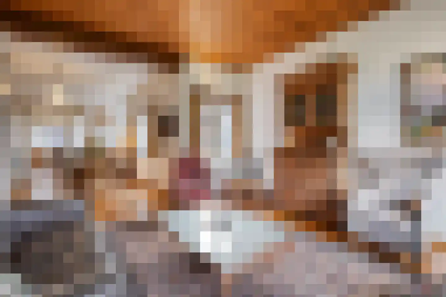 Julianalaan 9 Beek thumbnail 18