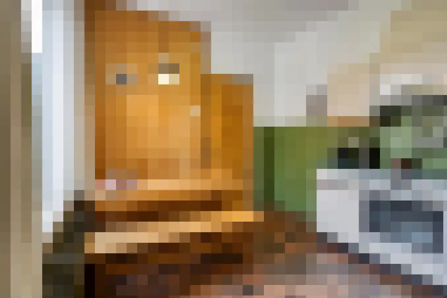 Julianalaan 9 Beek thumbnail 21