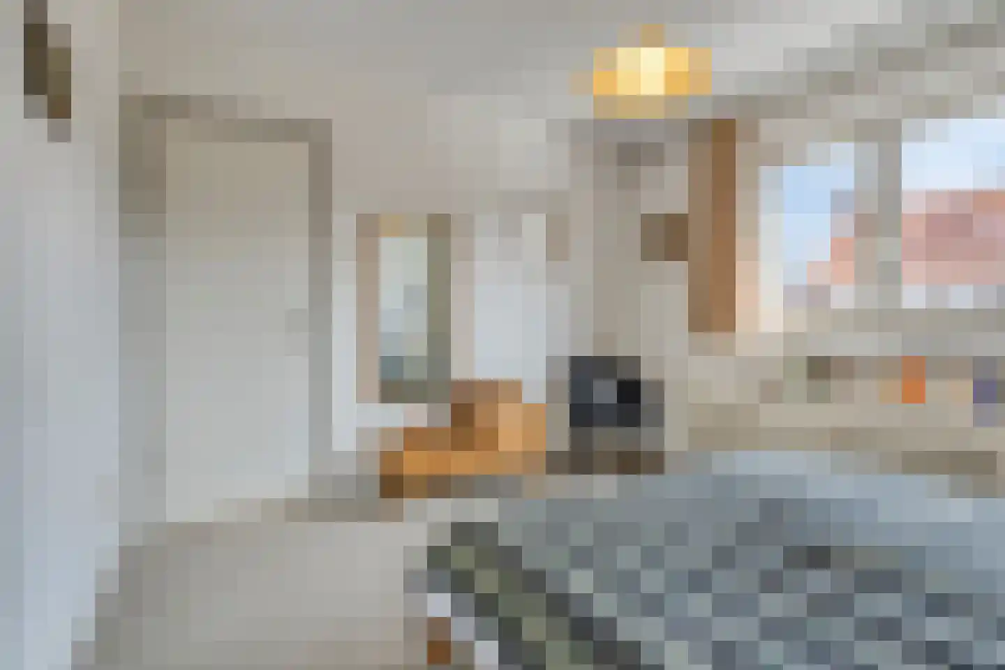 Julianalaan 9 Beek thumbnail 25