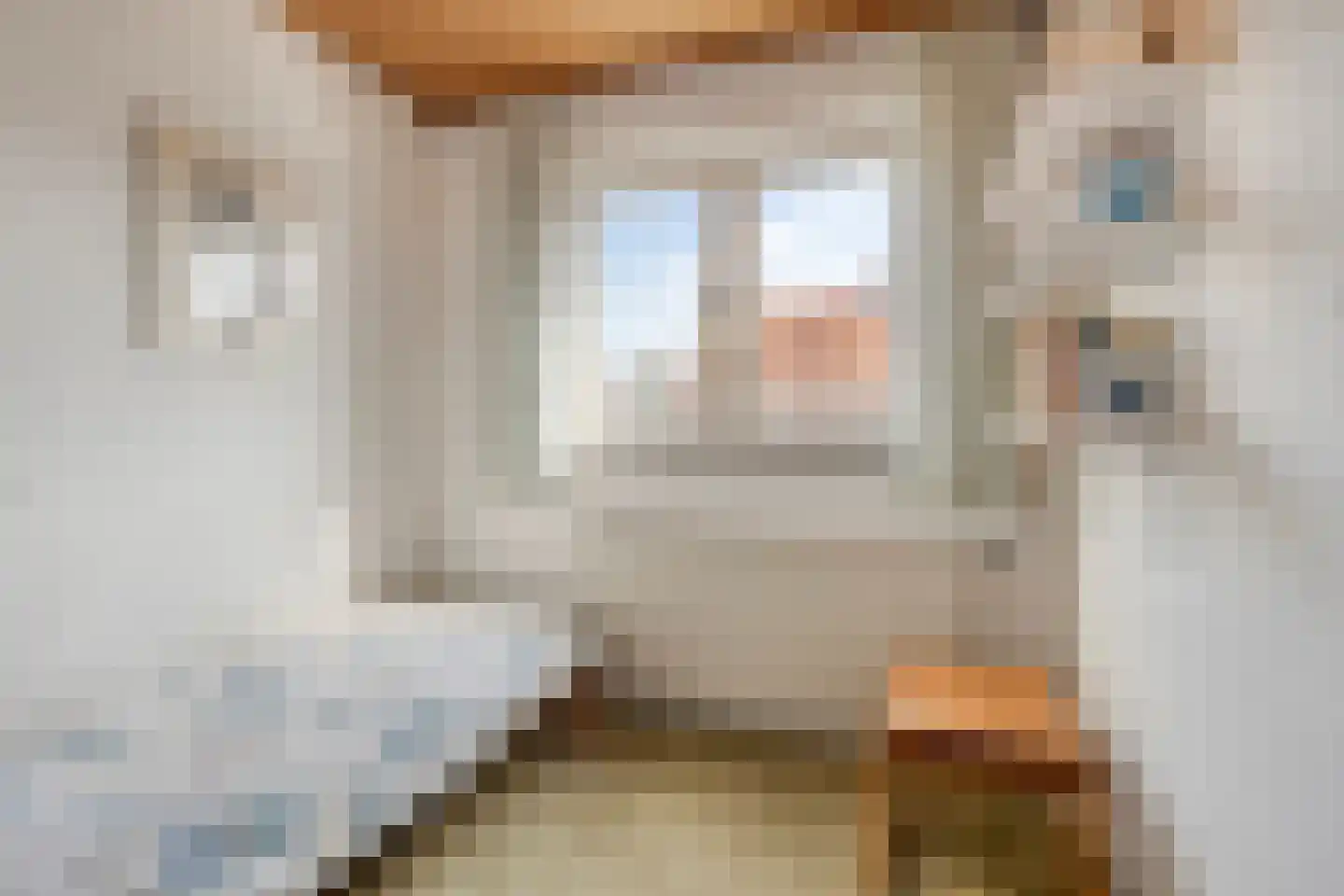 Julianalaan 9 Beek thumbnail 29