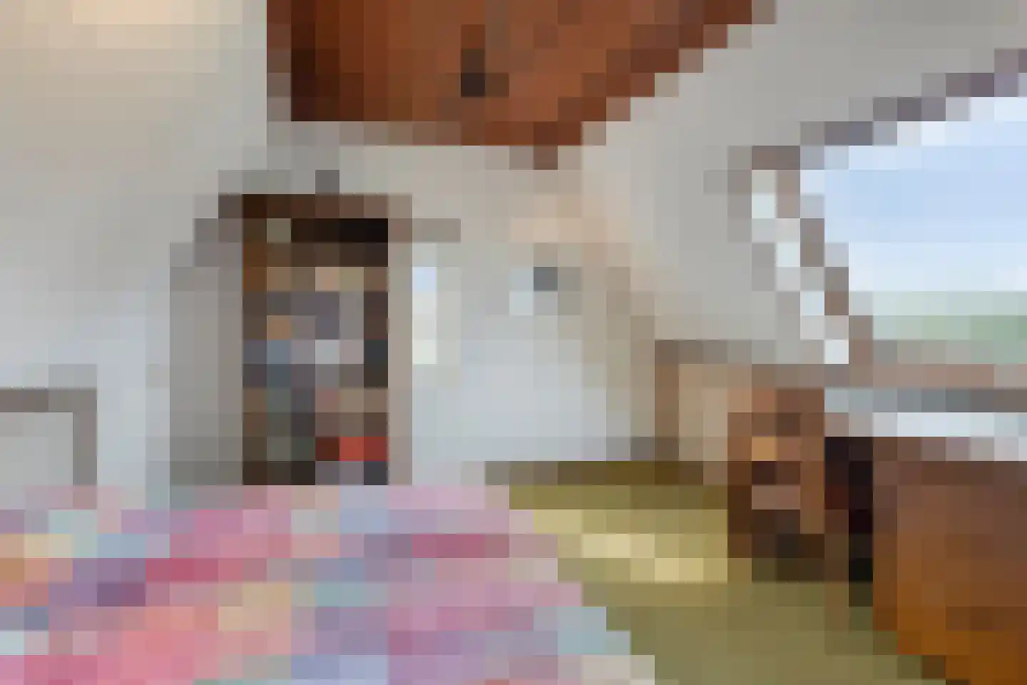 Julianalaan 9 Beek thumbnail 32