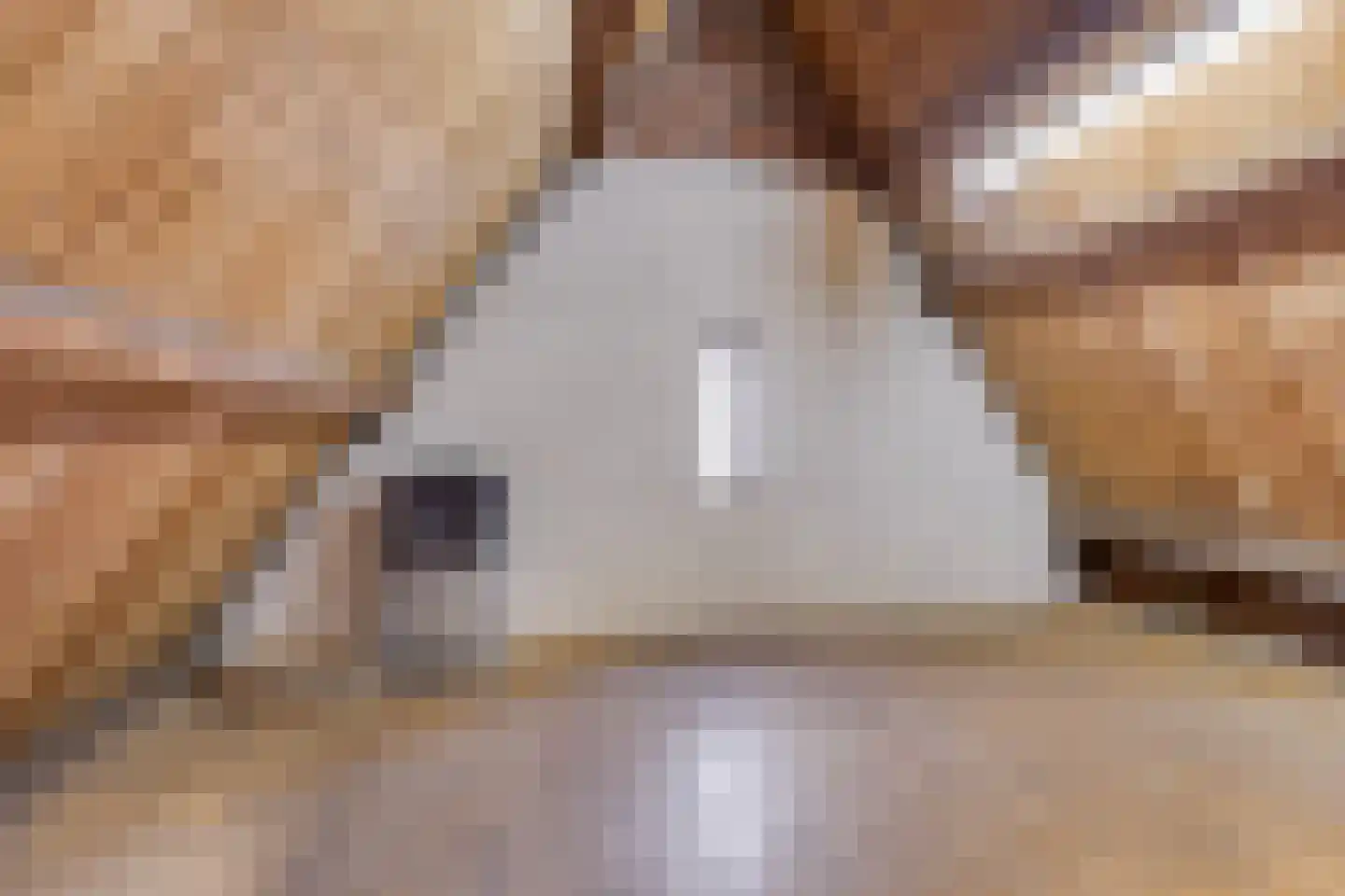 Julianalaan 9 Beek thumbnail 33