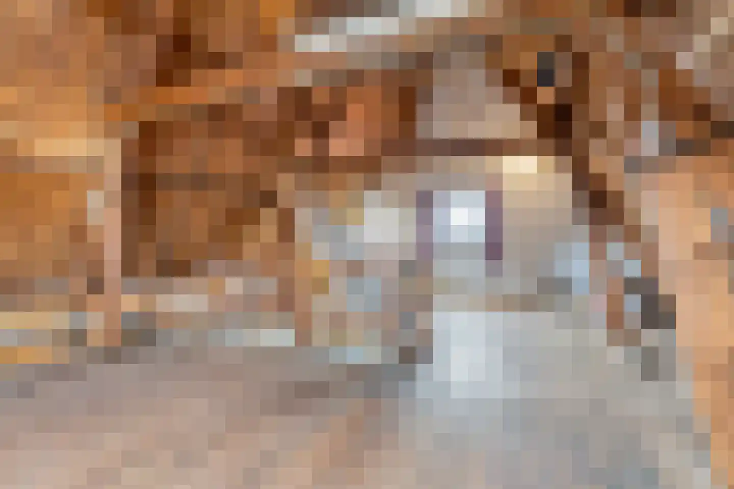 Julianalaan 9 Beek thumbnail 34