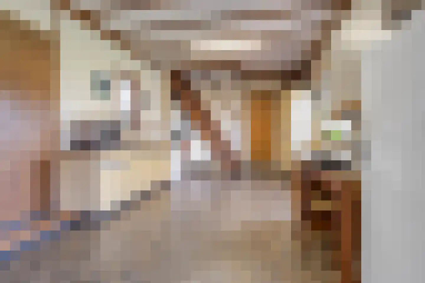 Julianalaan 9 Beek thumbnail 36