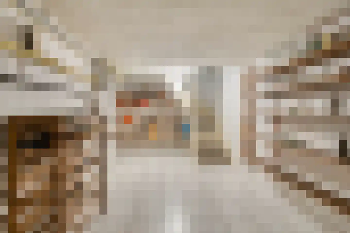 Julianalaan 9 Beek thumbnail 37