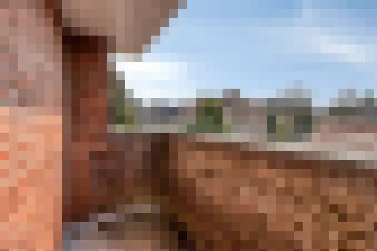 Julianalaan 9 Beek thumbnail 40