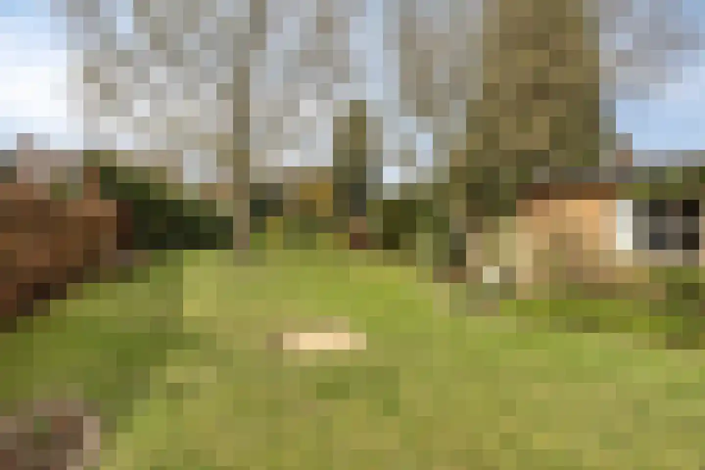 Julianalaan 9 Beek thumbnail 43