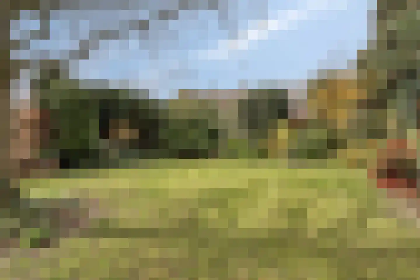 Julianalaan 9 Beek thumbnail 44