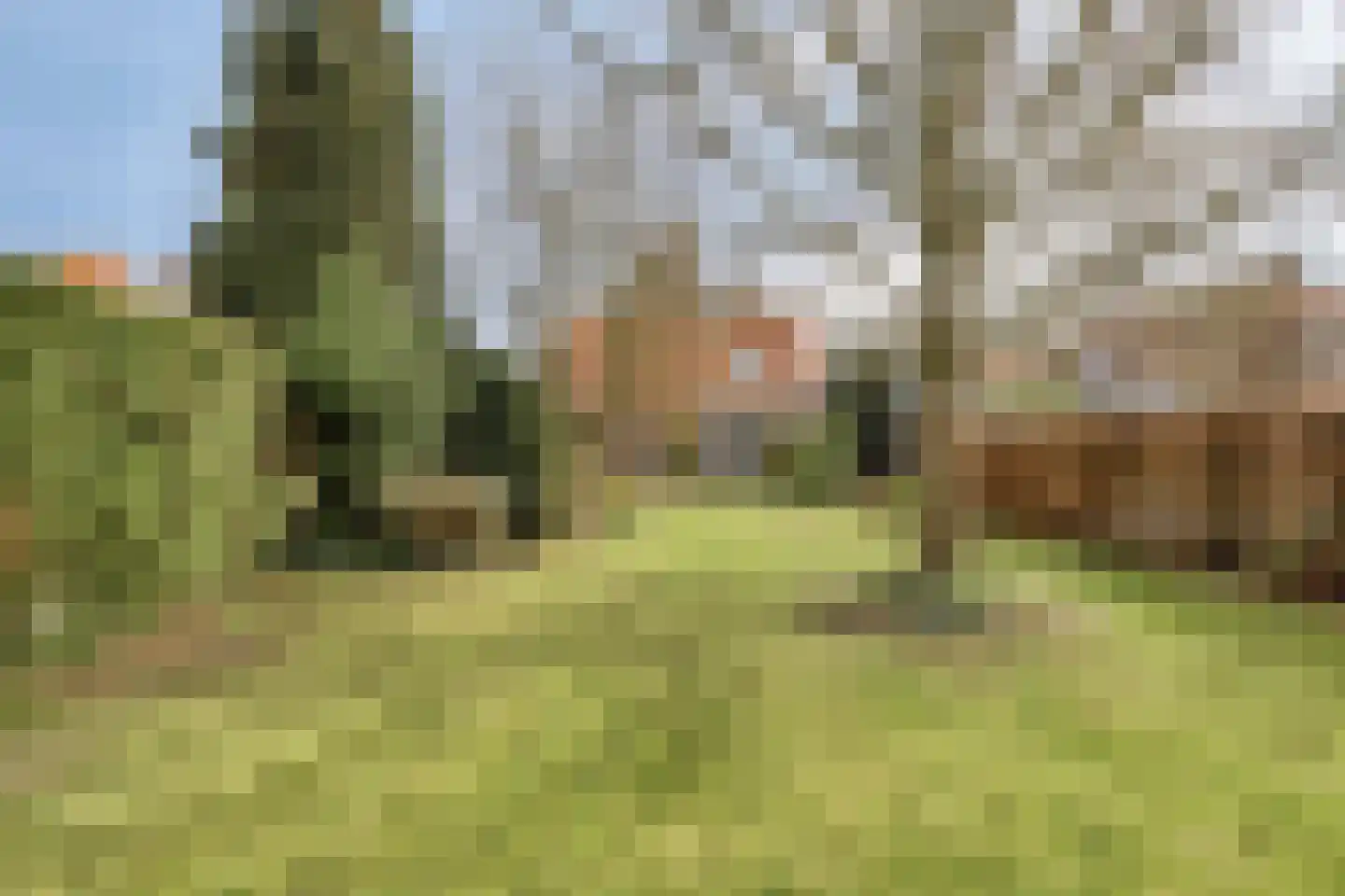 Julianalaan 9 Beek thumbnail 45