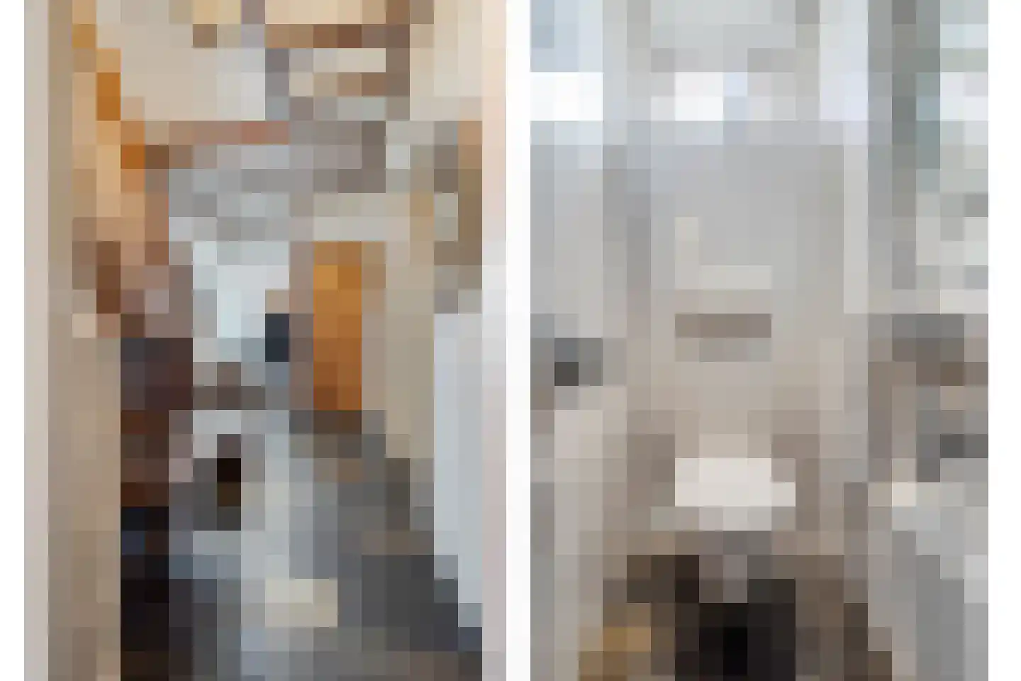 Julianalaan 9 Beek thumbnail 7