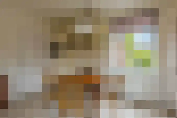 Julianalaan 9 Eefde thumbnail 11