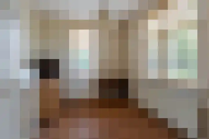 Julianalaan 9 Eefde thumbnail 12