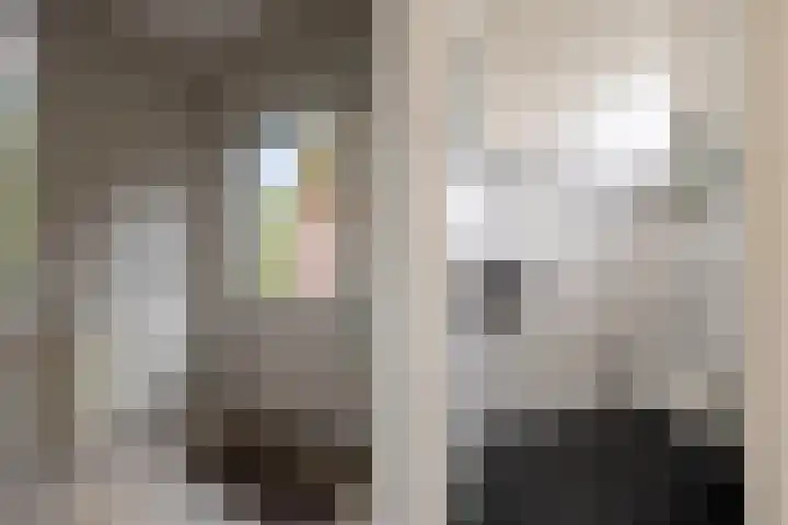 Julianalaan 9 Eefde thumbnail 13