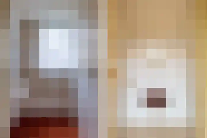 Julianalaan 9 Eefde thumbnail 20