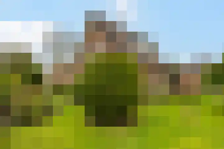 Julianalaan 9 Eefde thumbnail 22
