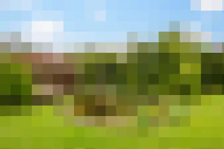 Julianalaan 9 Eefde thumbnail 25