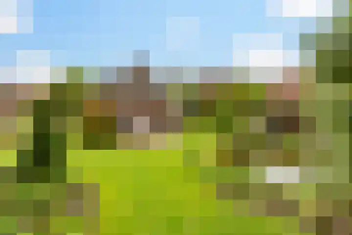 Julianalaan 9 Eefde thumbnail 26