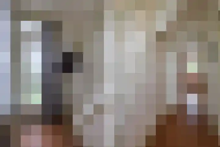 Julianalaan 9 Eefde foto 3