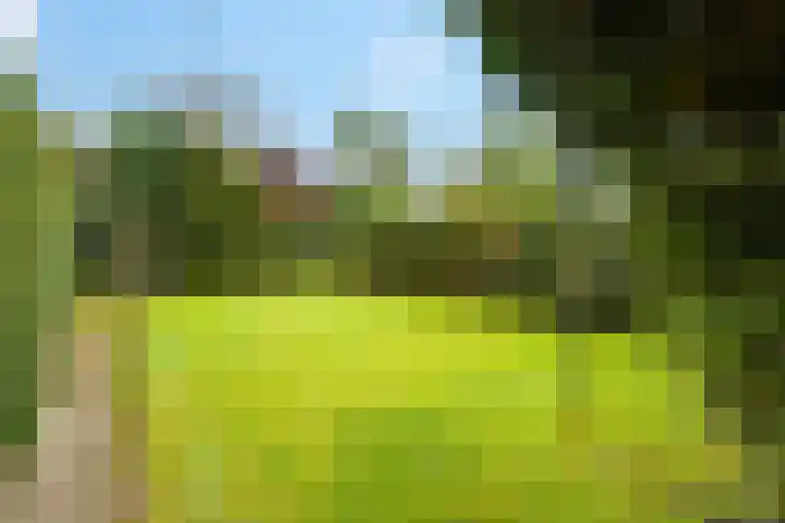 Julianalaan 9 Eefde thumbnail 34