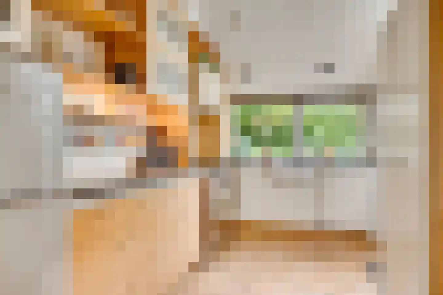 Julianalaan 9 Melick thumbnail 18
