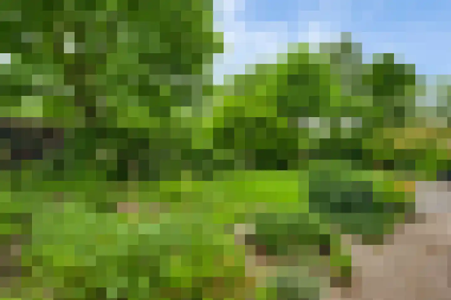 Julianalaan 9 Melick thumbnail 23