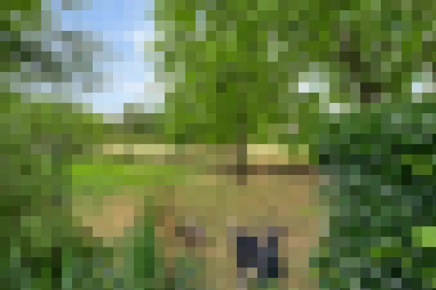 Julianalaan 9 Melick thumbnail 28