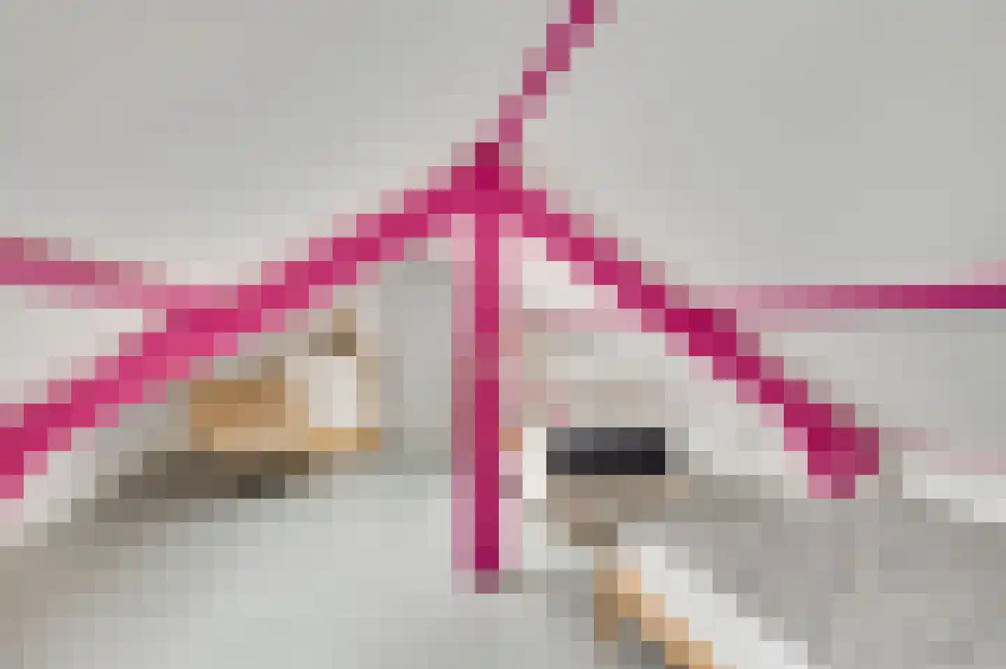 Julianalaan 9 Melick thumbnail 50