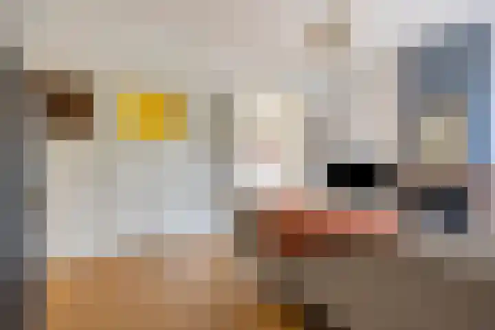 Julianalaan 9 Oosterhout thumbnail 11