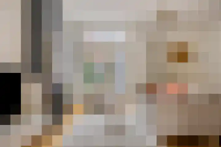 Julianalaan 9 Oosterhout thumbnail 13
