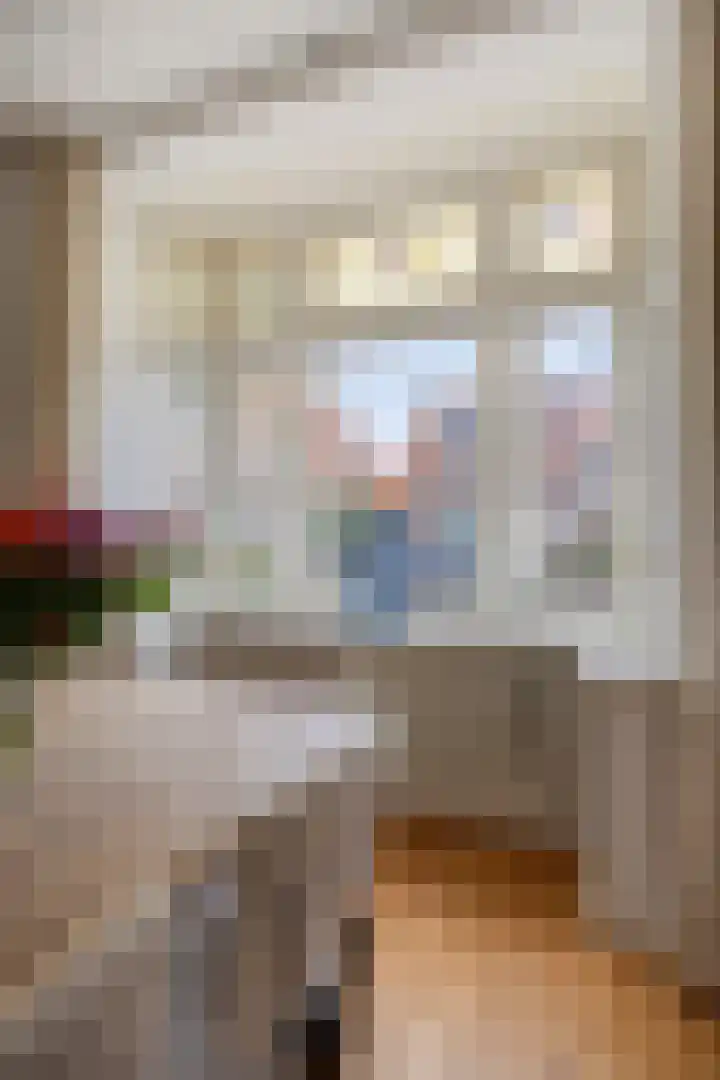 Julianalaan 9 Oosterhout thumbnail 15